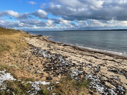 a beach with a rocky shore and the ocean at Wäscherei in Barkelsby