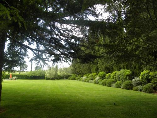 a large green field with trees and bushes at Ghiaccio Bosco in Capalbio