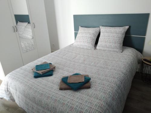 Кровать или кровати в номере Mini villa 84 sur la route des vins
