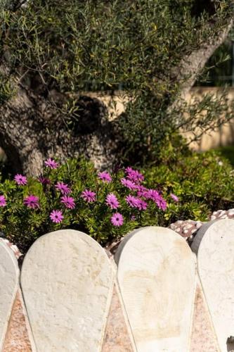 a row of parking meters in front of pink flowers at Gustav Retreat Villa in Goumaíika