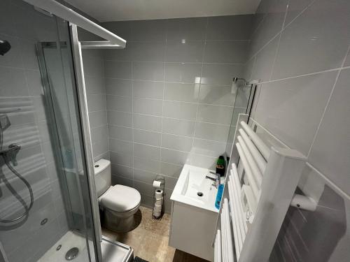 La salle de bains est pourvue d'une douche, de toilettes et d'un lavabo. dans l'établissement Appartement T2 Paray vieille poste, à Paray-Vieille-Poste