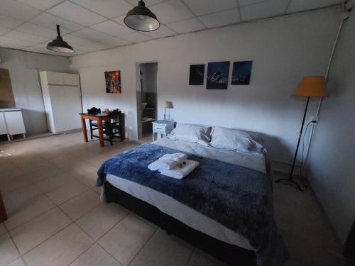 ein Schlafzimmer mit einem Bett mit zwei Kissen darauf in der Unterkunft Cardozo House Monoambiente acogedor y familiar in Villa Dolores