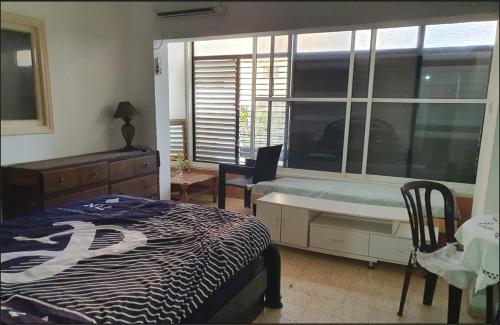 レホヴォトにあるRehovot Cozy apartmentのベッドと机と窓のある寝室