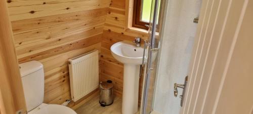 a small bathroom with a toilet and a sink at Fairhead Glamping Pods in Ballycastle