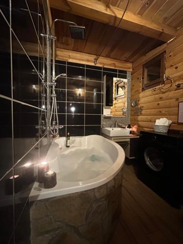 Ένα μπάνιο στο Brvnara DRINA Wooden House Drina