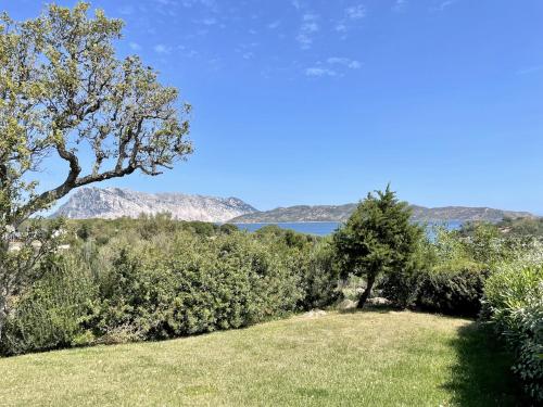 a field with trees and a view of the water at CAPO CODA CAVALLO VILLA SALINEDDA GIARDINO VISTA MARE in Capo Coda Cavallo