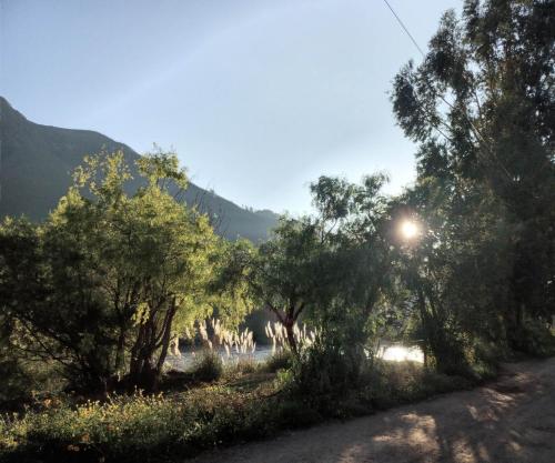 a road with trees and a mountain in the background at Wayqi Wasi in Pisac