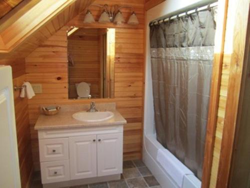 a bathroom with a sink and a shower and a mirror at Swept Away Cottages in Cavendish
