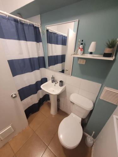 a bathroom with a toilet and a sink and a mirror at Arriendo Departamento Diario en Copiapo in Copiapó