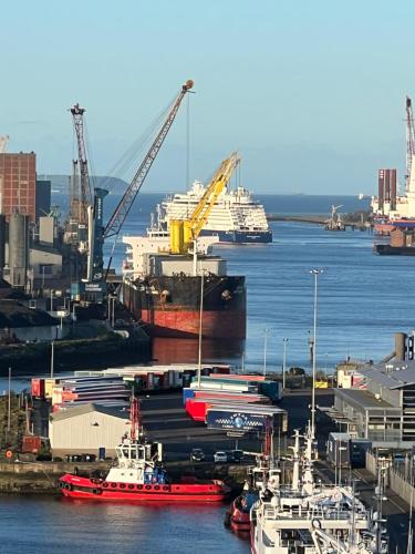 a harbor with boats and cranes and a cruise ship at James Clow Bed & Breakfast in Belfast