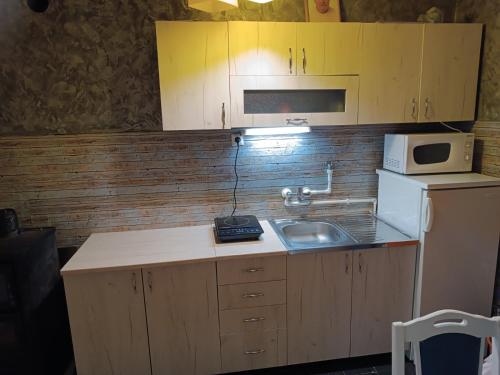 a small kitchen with a sink and a microwave at Kuršumlijska banja apartman in Kuršumlija