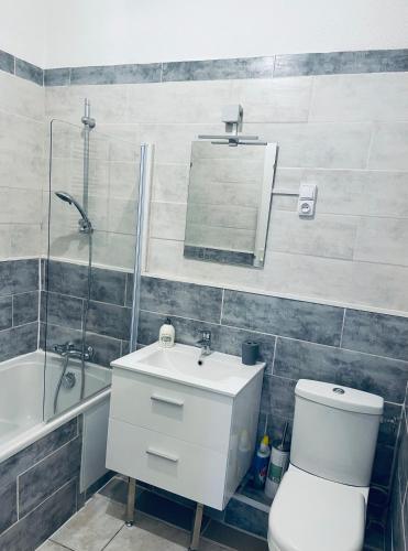 une salle de bain avec toilettes, lavabo et miroir dans l'établissement Appartement authentique coeur de ville sete, à Sète