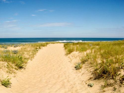 un chemin de sable à travers le sable de la plage dans l'établissement CHEZ SEB & BELINDA, Séjour TOUT CONFORT dans environnement CALME et VERDOYANT, à Saint-Julien-en-Born