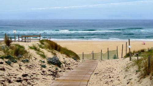 un camino de madera que conduce a una playa con el océano en CHEZ SEB & BELINDA, Séjour TOUT CONFORT dans environnement CALME et VERDOYANT, en Saint-Julien-en-Born