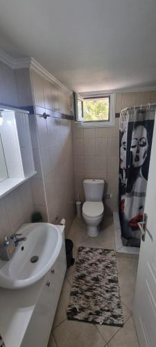 łazienka z białą umywalką i toaletą w obiekcie Voulitsa's Apartment w Kanalionie