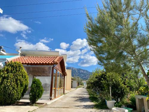 a house with a tree on the side of the road at Yiayia's House, in Zipari Village "1" in Zipárion