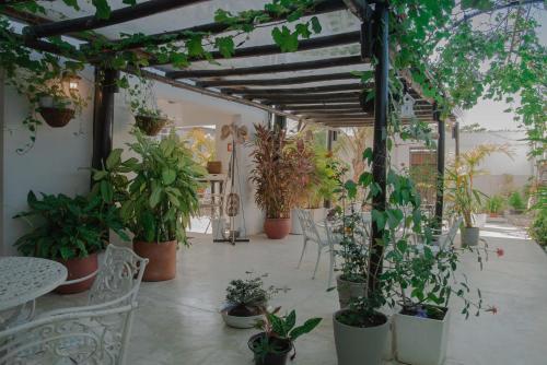 a patio with potted plants and a table and chairs at Casa Ines in Santa Marta
