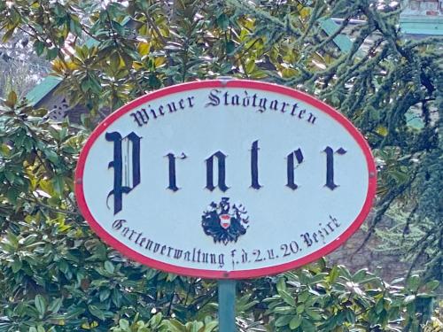 Magic Vienna right next to the Prater!