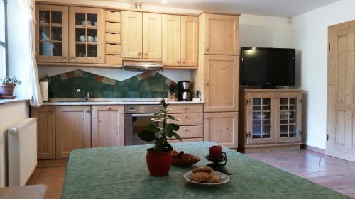 a kitchen with a table with a potted plant on it at Apartments Pod macesnovo streho in Solčava