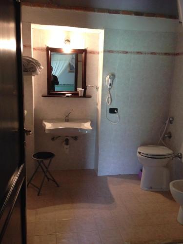 a bathroom with a sink and a toilet and a mirror at Antico Casale Pozzuolo in Seggiano