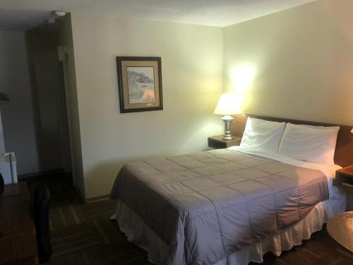 Habitación de hotel con cama y lámpara en Houston Motor Inn, en Houston