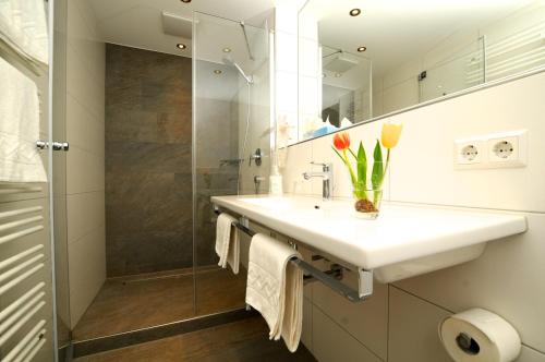 a bathroom with a sink and a shower at Hotel Ritter in Tettnang