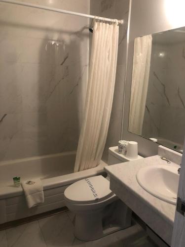 a bathroom with a toilet and a sink and a shower at Houston Motor Inn in Houston