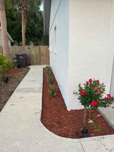 a garden with red flowers next to a building at Lopez Place in Tampa