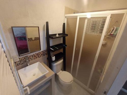 W łazience znajduje się prysznic, toaleta i umywalka. w obiekcie Casa sola con alberca w mieście Jiutepec