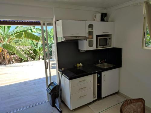 una pequeña cocina con fregadero y microondas en Le Moubin en La Trinité