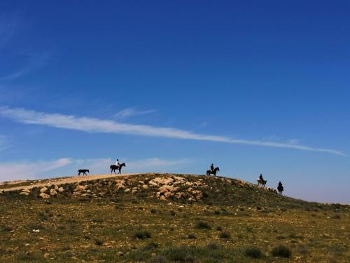 a group of people riding horses on a hill at Petra Desert Dream Hotel in Wadi Musa