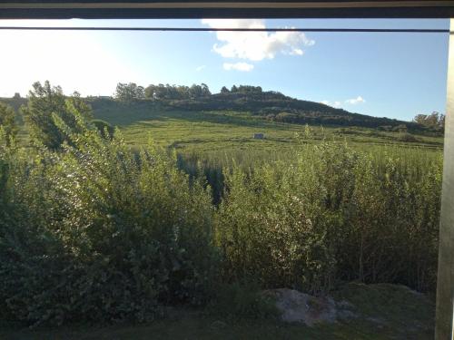 a field of grass with a hill in the background at Apart Lo de Jose in Tandil