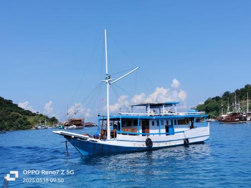 Labuan Bajo Boat Charter