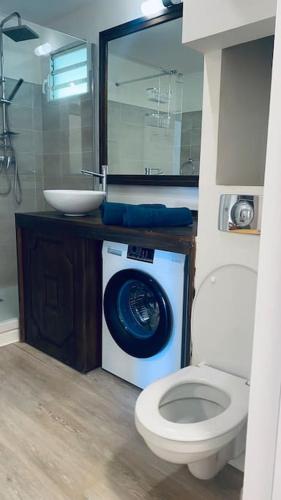 a bathroom with a washing machine and a toilet at Marin’Appart * vue sur mer* in Gourbeyre