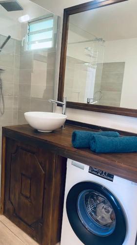 a bathroom with a sink and a washing machine at Marin’Appart * vue sur mer* in Gourbeyre