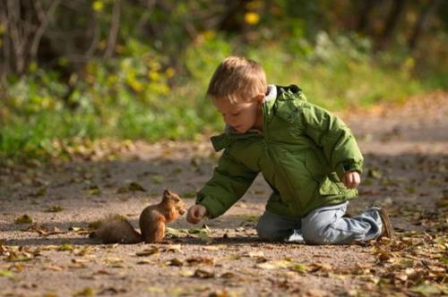 a young boy playing with a small squirrel at Buenas vistas y privacidad, tranquila y fresca villa en el bosque de Valencia con una magnífica piscina de 80m2 in Lliria