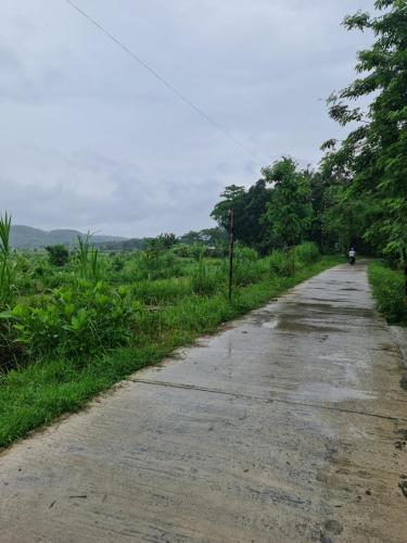 an empty road in the middle of a field at Villa Kayu Yogyakarta in Yogyakarta