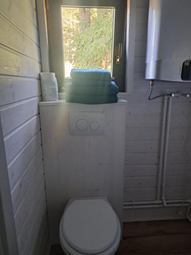 a small bathroom with a toilet and a window at Tiny House Waldschmied 1 in Latzendorf