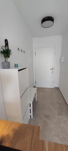 a kitchen with white cabinets and a potted plant at LA Studio in Maribor