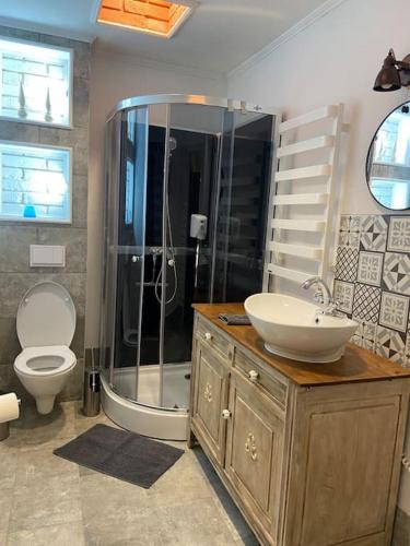 a bathroom with a shower and a toilet and a sink at Przytulne w Centrum in Ostrowiec Świętokrzyski