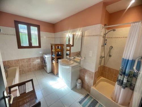 Villa spa, sauna et piscine couverte proche rivière Aveyron في Albias: حمام مع حوض ومغسلة ودش