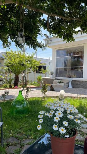 SELLUKA HOME – Photos 2