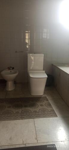 Baño blanco con aseo y lavamanos en Stone House, en Tskaltubo