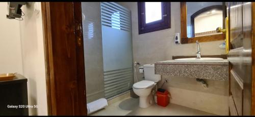 a bathroom with a toilet and a sink and a shower at Moon fourteen in Luxor