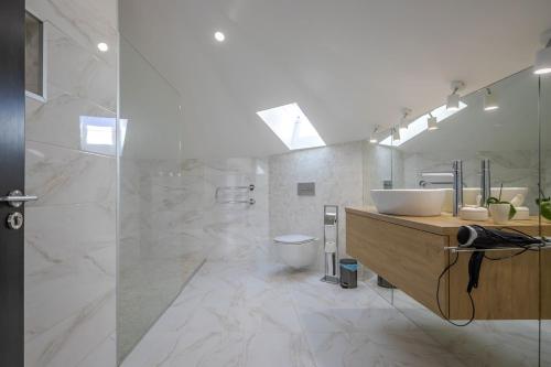 een badkamer met een wastafel, een douche en een toilet bij Guest Villa Klaipeda in Klaipėda