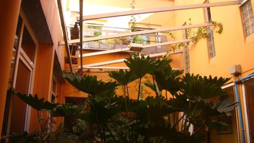 Φωτογραφία από το άλμπουμ του Hotel Durazno σε Durazno