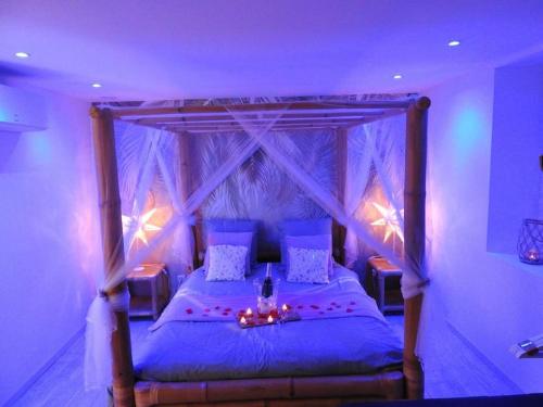 a bedroom with a canopy bed with purple lighting at Love Creuse le lieu insolite 