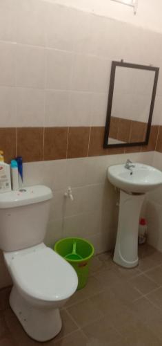 a bathroom with a toilet and a sink and a mirror at Homestay Humair in Marang
