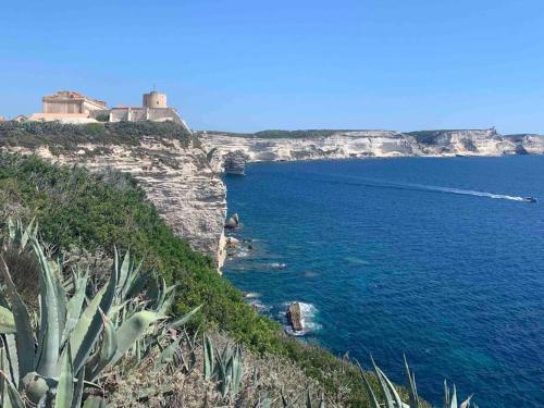 a view of the ocean with a castle on a cliff at Superbe studio climatisé parking gratuit sur place in Bonifacio