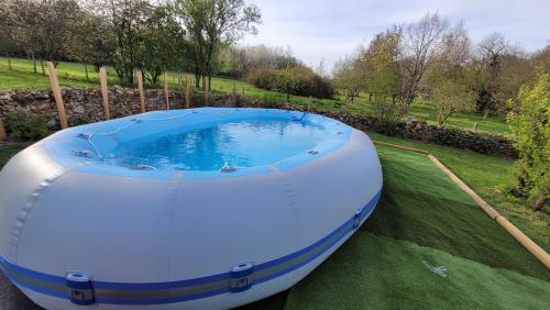 une grande piscine d'iguanes bleus et blancs dans une cour dans l'établissement L'ETAPE DES VIGEALIERES, à Bonnes